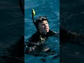 Robert Irwin Tries to Snap a Pic of a Manta Ray! | Crikey! It's the Irwins  | Animal Planet