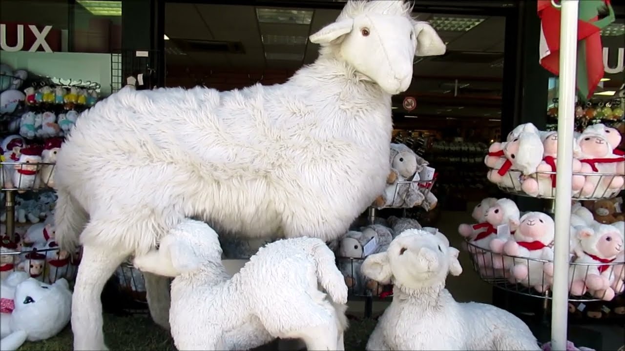 Sare et le petit train de la Rhune pendant le  semi-confinement  - aout  2020