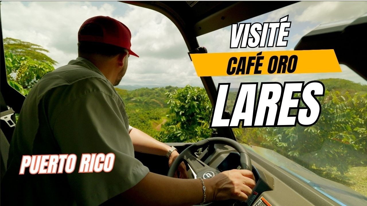 Visité una Finca de Café en Lares | Puerto Rico