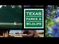 PBS Preview - Texas Water Safari, Loggerhead Shrikes & Pretty Flowers