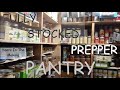MY FULLY STOCKED PREPPER PANTRY & PREPS I'VE ACQUIRED OVER THE YEARS; SLOW AND STEADY WINS THE RACE!