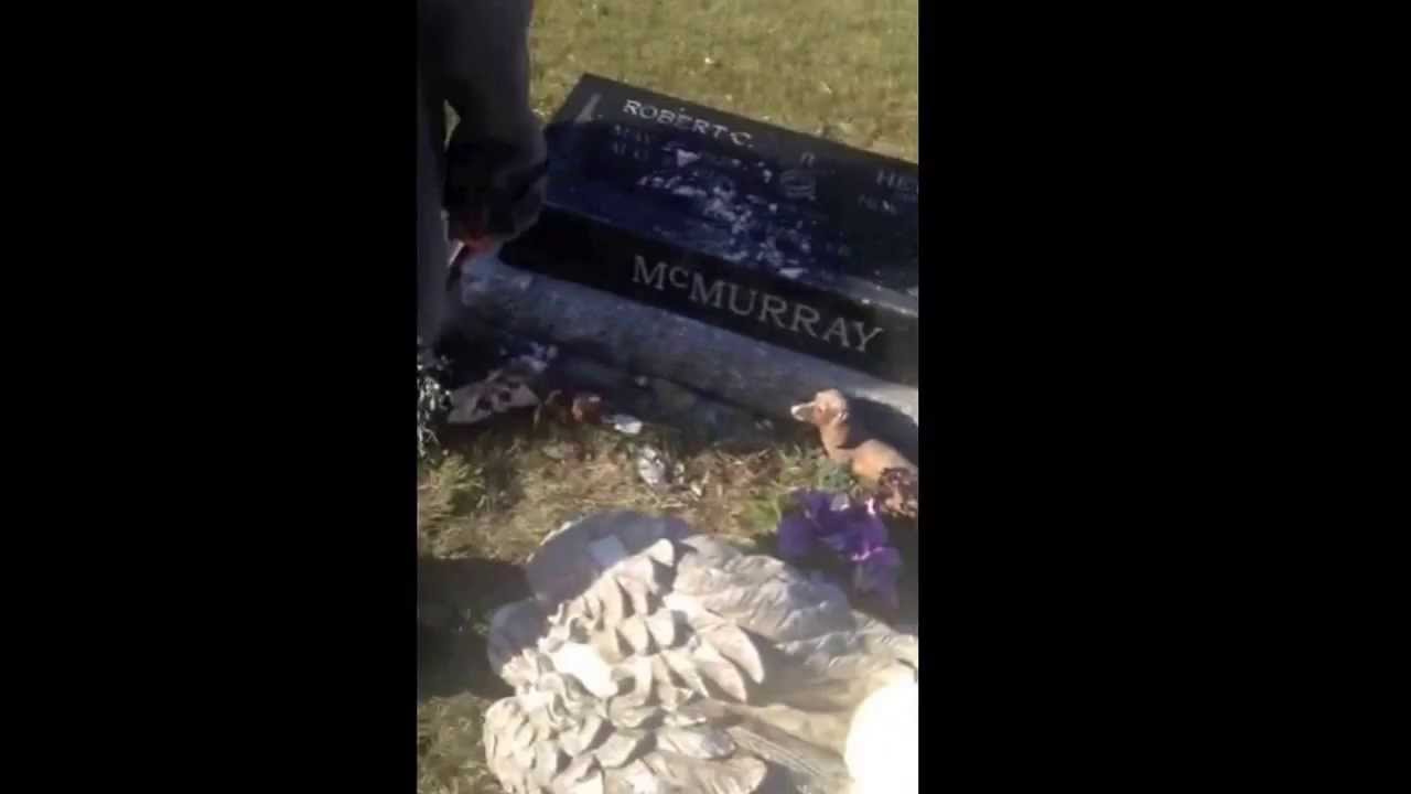 Cemetery vandalism in Red Deer
