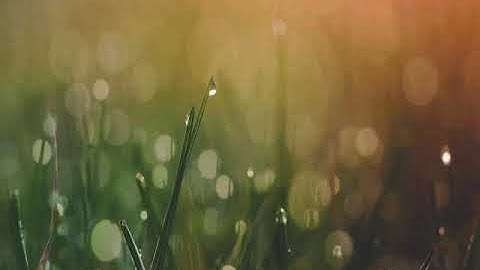 Bhu bsc maths entrance answer keys...2007,11,12,13,14,15,17,18