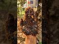 Survival Skills: SMART idea and USEFUL make SOAP in Camping #survival #outdoors #camping #shorts