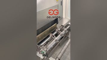 Automatic Enjera Making Machine|Ethiopian Injera Machine Video