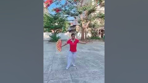 Bài hướng dẫn THÁI CỰC MỘT QUẠT 18 thức