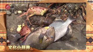 東海岸物種豐富 婦女趁颱風前採集 2017-07-27  Kavalan TITV 原視族語新聞