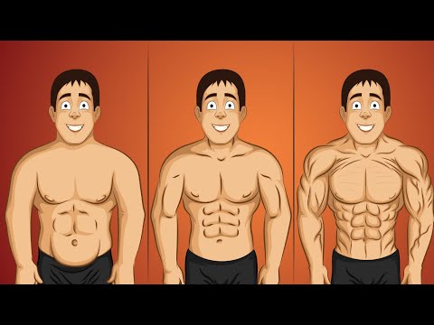 Vidéo: 9 façons de brûler les graisses sans perdre de muscle