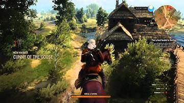 Witcher 3 magical floating roach