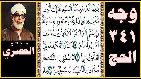 صفحة 341 سورة الحج- يا أيها الناس ضرب مثل فاستمعوا له إن الذين تدعون من دون الله لن يخلقوا ذبابا ولو