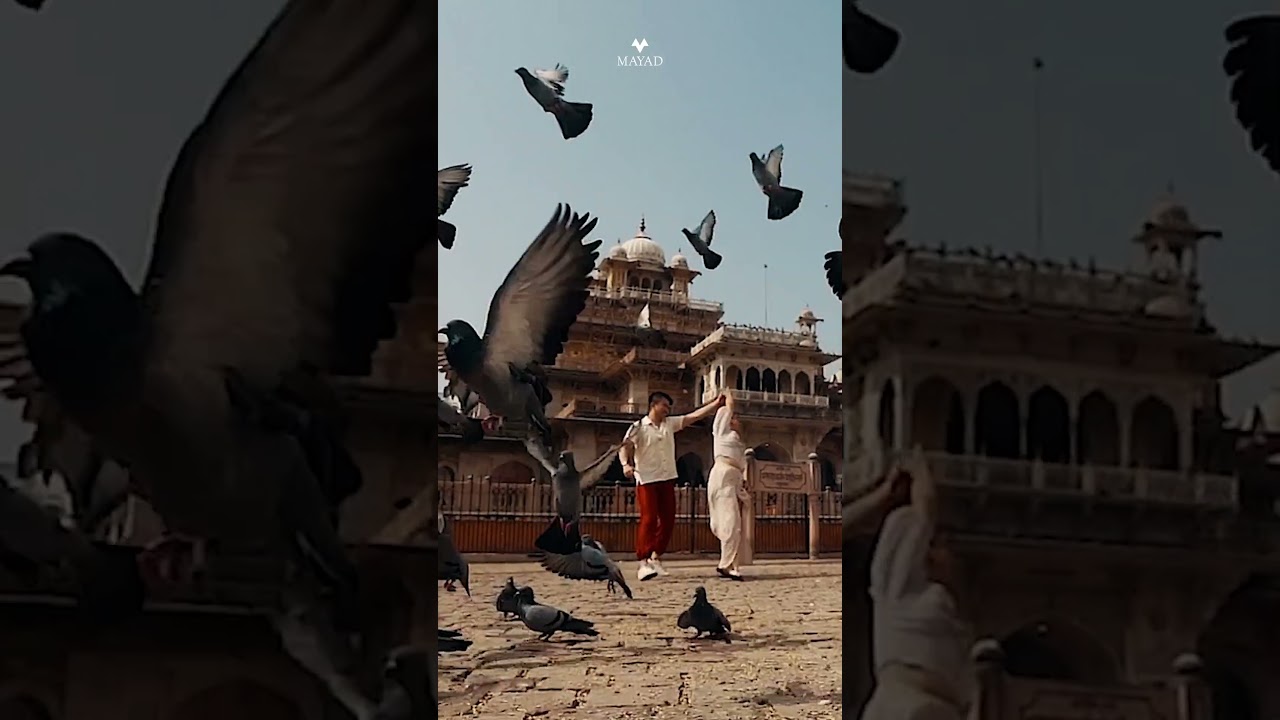 Mayad Destination Weddings