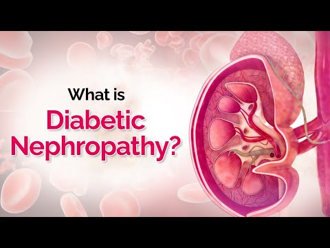 What is Diabetic Nephropathy (diabetic kidney disease)? मधुमेह नेफ्रोपैथी क्या है?