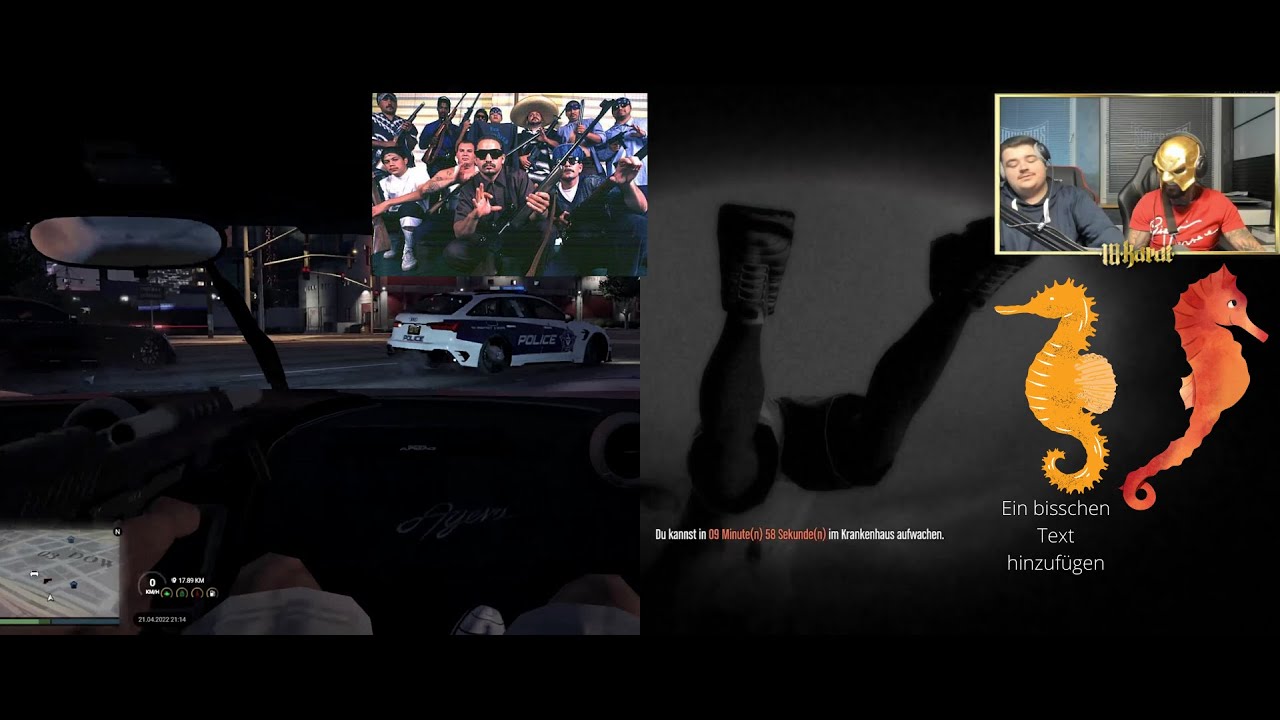 Gangkrieg mit Supremos & 18 Karat hat kein Seepferdchen