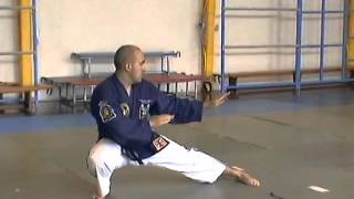 Me Doing 7 Stars Kata