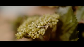 20200515 宇廷＆宥婕 婚紗側錄/Film on the BMPCC 4K/SIGMA 18-35/SIGMA 50-100