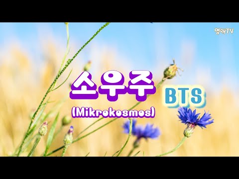 소우주(Mikrokosmos )ㆍBTS 