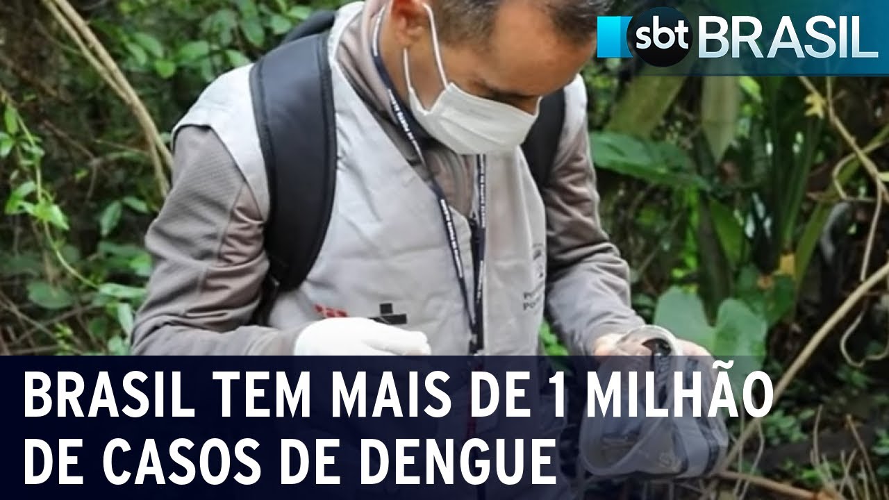 Brasil tem mais de 1,1 milhão de casos de dengue confirmados | SBT Brasil (01/07/22)