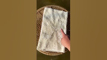 Mẹo xử lý bụi mịn li ti trong bể cá đơn giản và hiệu quả #thuysinh4u