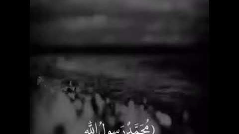 اسلام صبحي - سورة الفتح