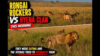 Rongai Rockers vs Hyena Clan This Morning 🦁🔥 | Intense Mara Drama