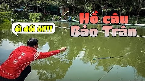 Câu Đài | Thử mồi câu cá rô phi mới trong hồ câu Bảo Trân - Bến Cát - Bình Dương