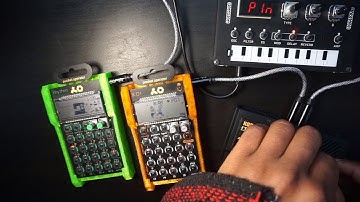 Folks | PO-33//PO-12//Monotron Delay//NTS-1