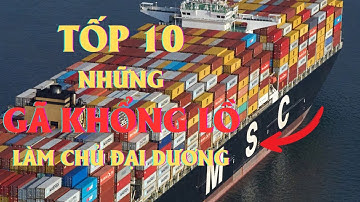 Top 10 Hãng Tàu Container Lớn Nhất Thế Giới – Những Gã Khổng Lồ Làm Chủ Đại Dương