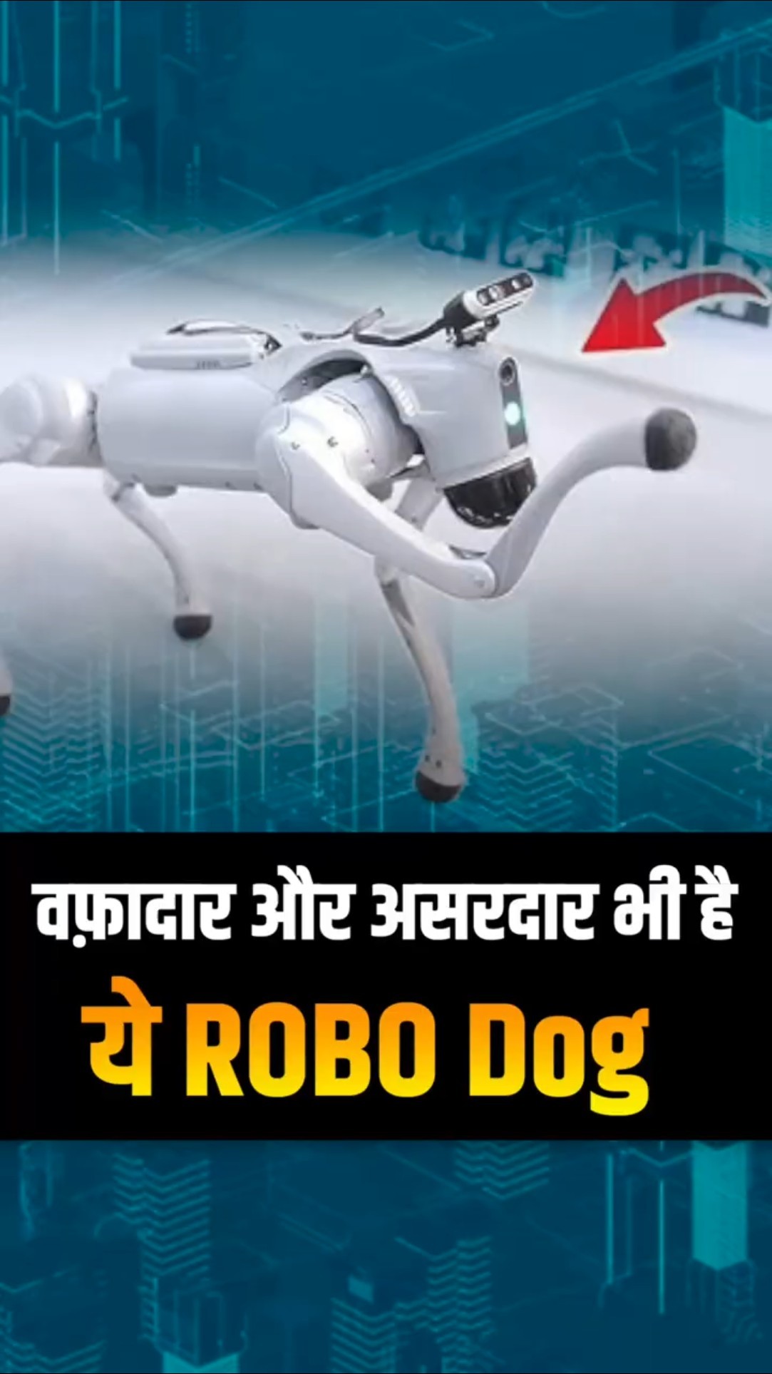 वफादार भी है और असरदार भी है रोबो Dog, QR Code ke माध्यम से खरता है ख़तरनाक से ख़तरनाक काम, समझिए।
