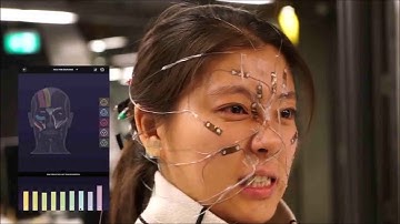 Standing Enokitake-like Nanowire Films for Highly Stretchable Elastronics