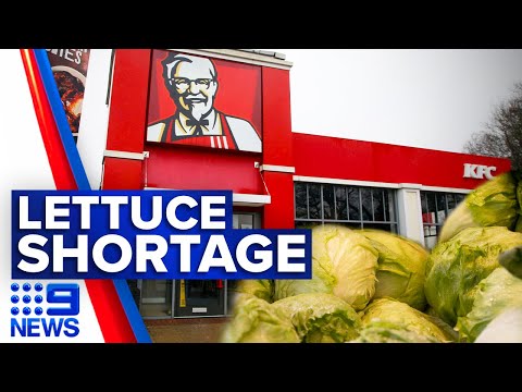 KFC overhauls menu as lettuce shortage bites | 9 News Australia