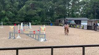 Halltown Harley winning Rectory Foxhunter