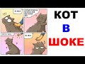 Лютые приколы. Кот в шоке! Угарные мемы