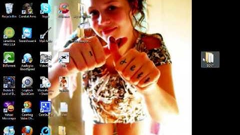 D2NT bot tutorial on how to get everything set up