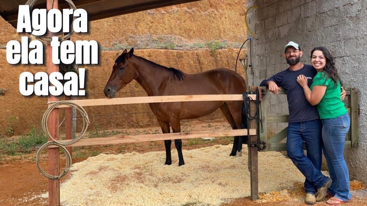 Nova construção! Baia pra égua! Agora ela tem casa!