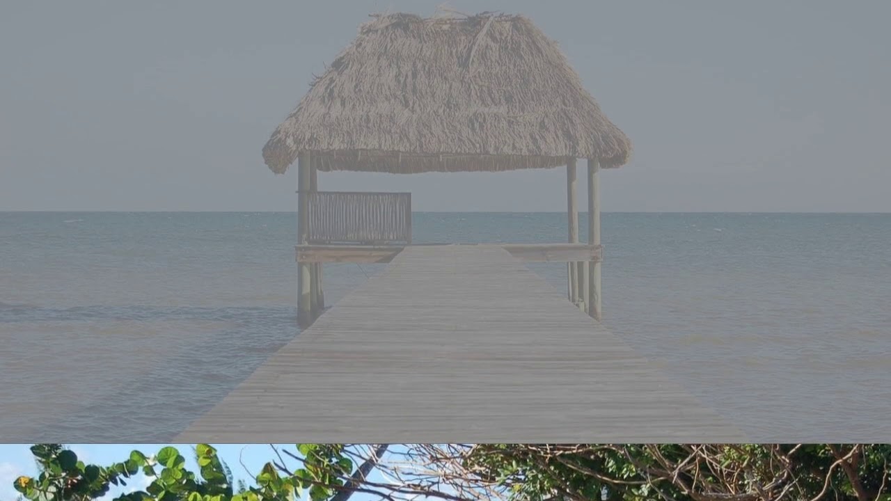 BMA Placencia Belize Real Estate Side by Side Plantation Beach Lots