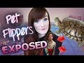 Munchie Talk | Stolen Red Ear Slider Turtle! | Exposing Pet Flippers!