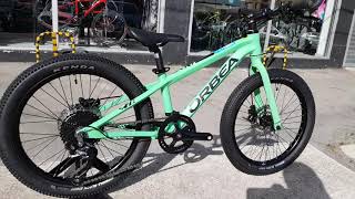 Orbea MX 20 Team Disc 2020