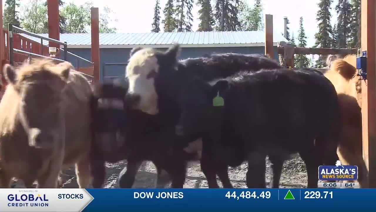 Alaska loses $6 million of USDA funding towards farming and food business development