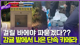 제주도 감귤밭 파자 과속 단속 카메라가??