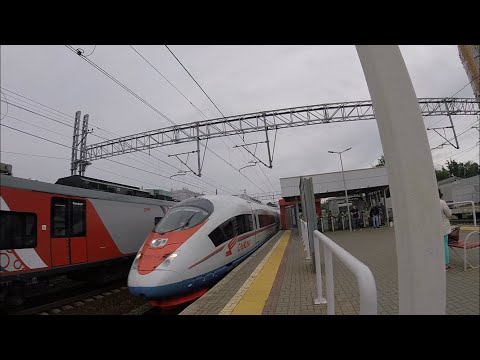 Поезд «Сапсан» пролетает мимо станции Химки