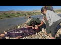 Courage et humanit le sauvetage miraculeux dune jeune femme par la famille des bergers