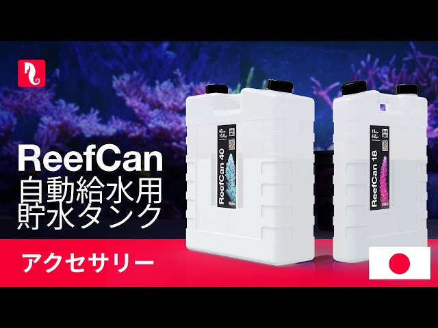 Red Sea Fish - YouTube