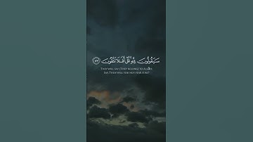 سورة المؤمنون الآيات 83__89 | قل لمن الأرض ومن فيها | بصوت الشيخ ياسر الدوسري #لا_اله_الا_الله