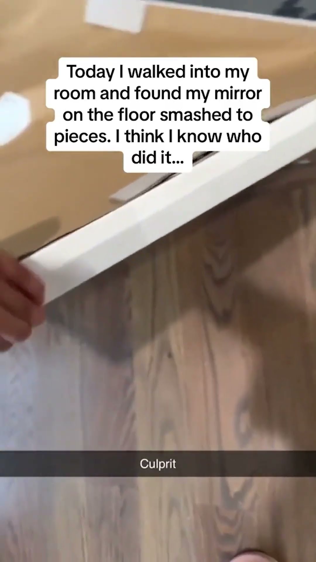 He is Guilty