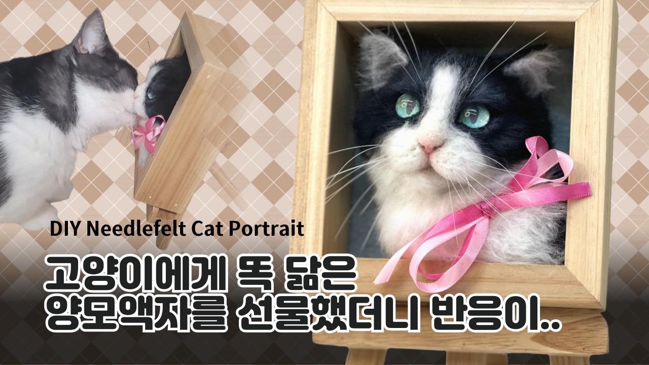 사진 아니에요! 세상에 단 하나뿐인 고양이 입체 액자 만들기 (양모펠트)🐾 Realistic Needle Felt Cat Fram
