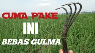 Download Lagu INOVASI ALAT MATUN PENYIANG GULMA MP3