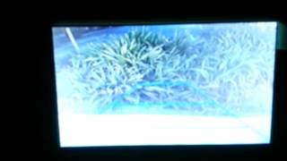 Rear Back up camera  06 Scion XB