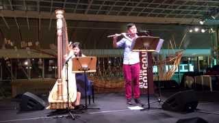 Video thumbnail of "Harry Potter Medley (Flute & Harp)"