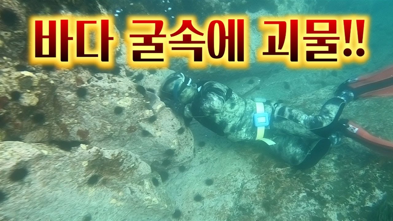 당겨도 안나온다!! 엄청난 힘의 괴물사냥!/A sea monster caught in a cave under the sea.