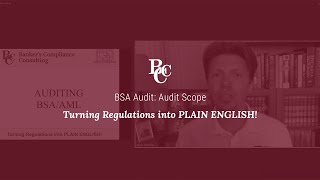 BSA Audit Audit Scope